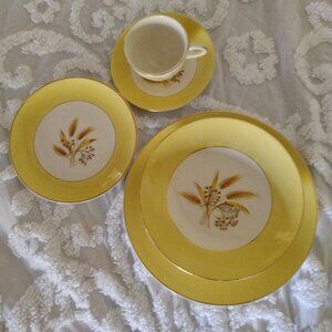Vintage "Autumn Gold" Dinnerware 47 Piece Set